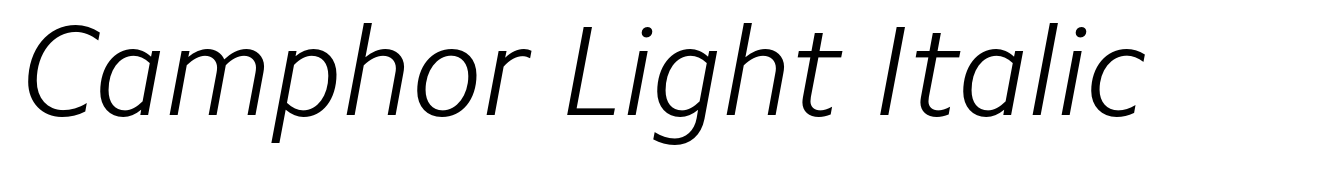 Camphor Light Italic